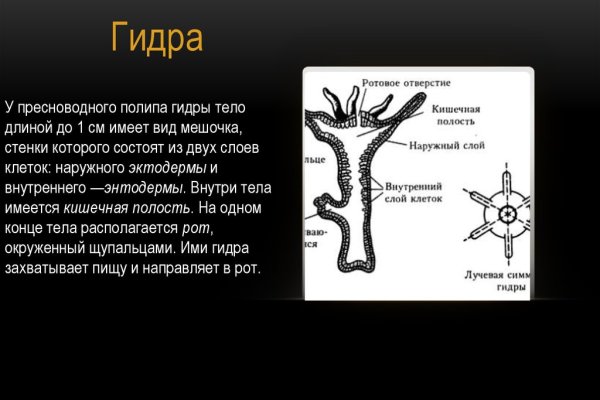 Запрещенный сайт кракен