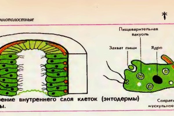 Почему кракен перестал работать